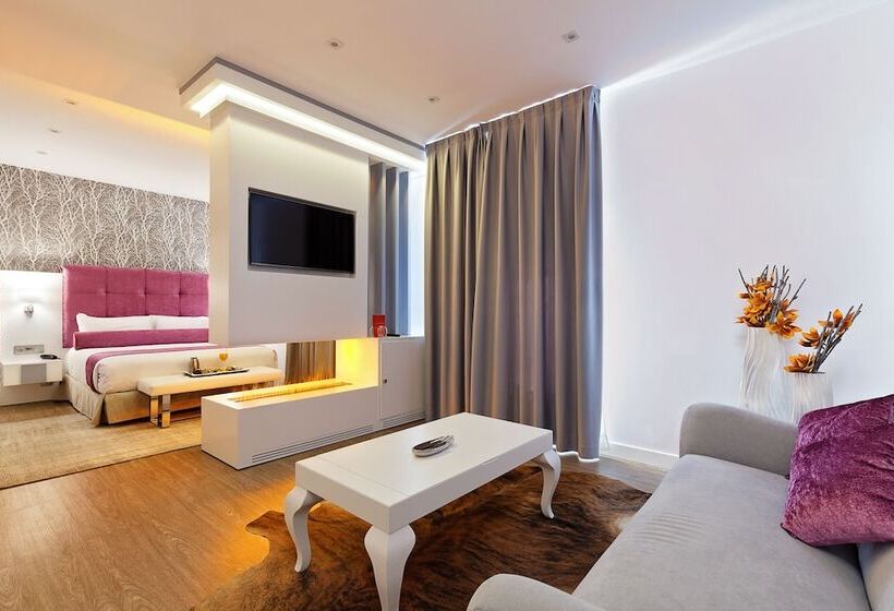 اتاق پرمیوم, Hotel Mayorazgo