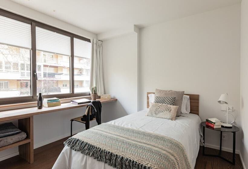 스탠다드 싱글 룸, Micampus Pamplona