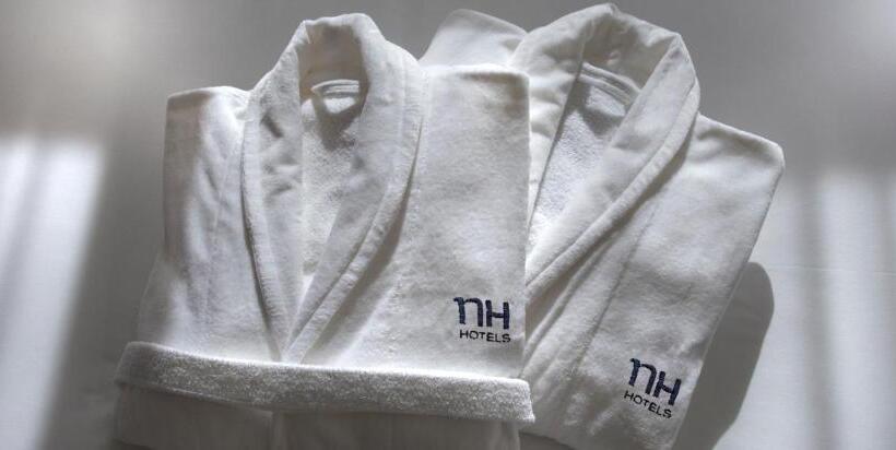 اتاق سوپریور, NH Lleida Pirineos