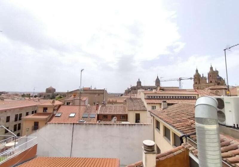 اتاق استاندارد, San Marcos