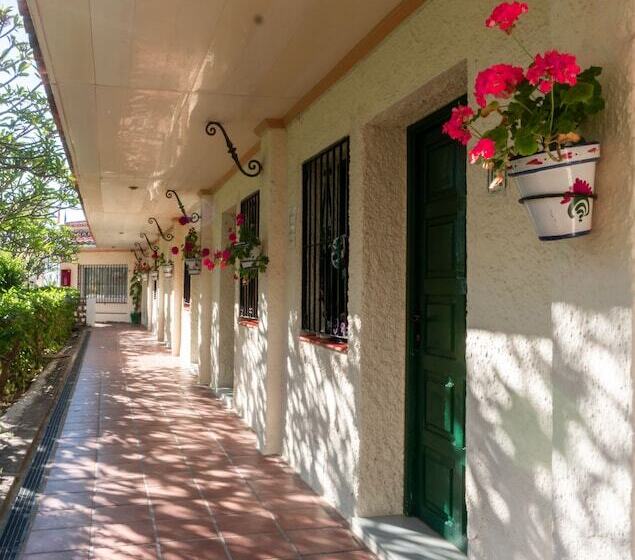 Стандартный Номер Нижний Этаж, Los Jazmines