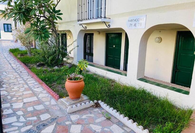 Номер Economy, Los Jazmines