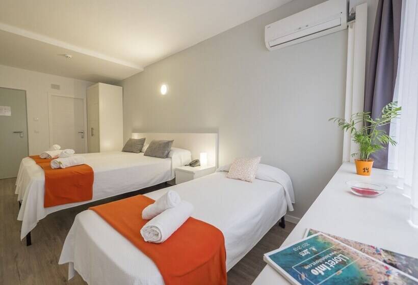 Номер Стандарт, Victoria