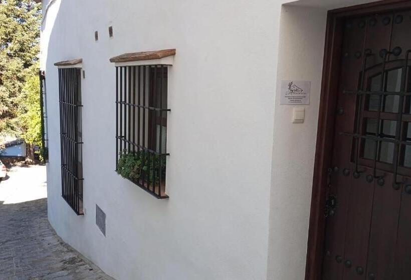 テラス付きスタンダードワンルーム, Vyve Grazalema At