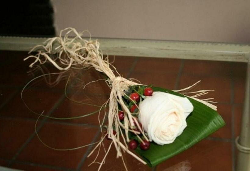 اتاق استاندارد یک نفره, Hospederia Luis De Gongora