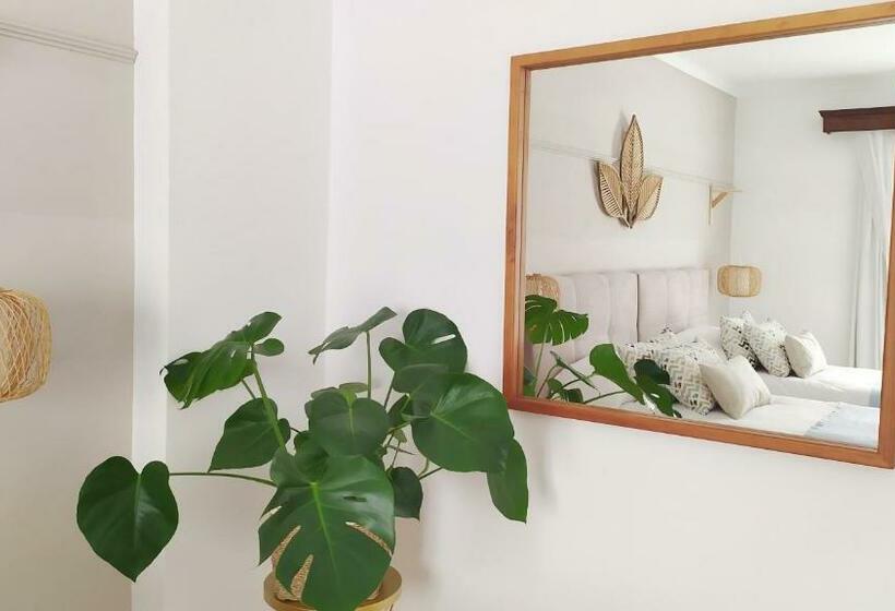 اتاق لوکس, Nou Can Guillem