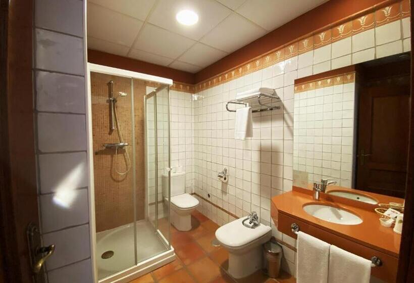 اتاق استاندارد, El Rastro - Palacio Duque De Tamames