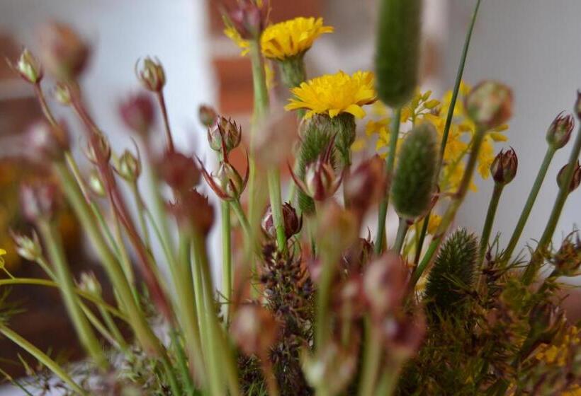 Апартаменты 1 Спальня, Hostal Refugio De Gredos