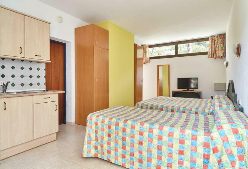 스탠다드 스튜디오, Apartamentos San Miguel Park & Esmeralda Mar