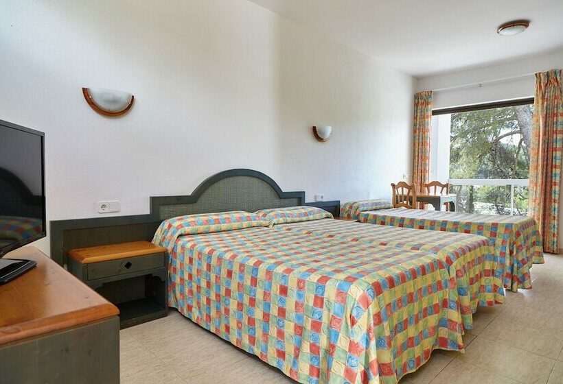 Студия Стандарт, Apartamentos San Miguel Park & Esmeralda Mar