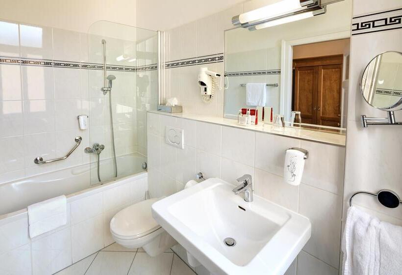 اتاق سوپریور, Astoria Wien