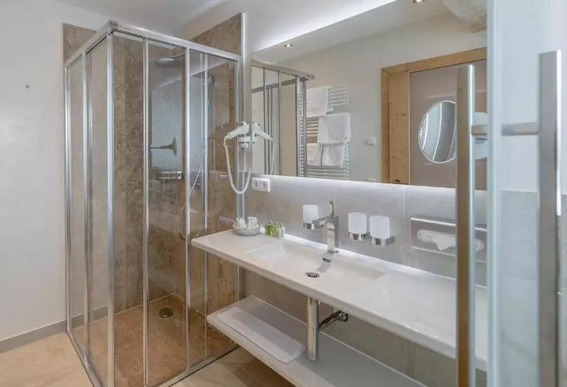 اتاق استاندارد با چشم‌انداز کوهستان, Ski   Golf   Wellness Hotel Riml