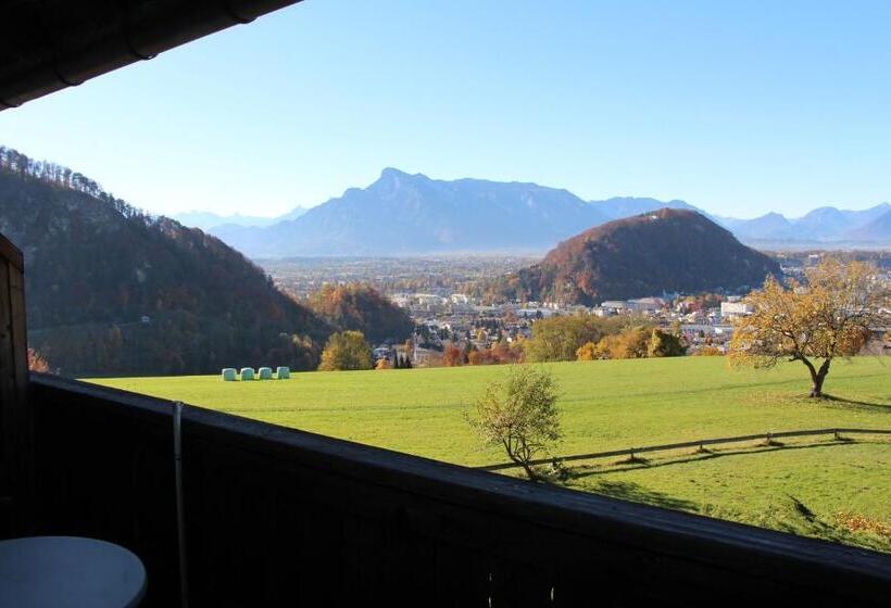 اتاق استاندارد با چشم‌انداز شهر, Schöne Aussicht