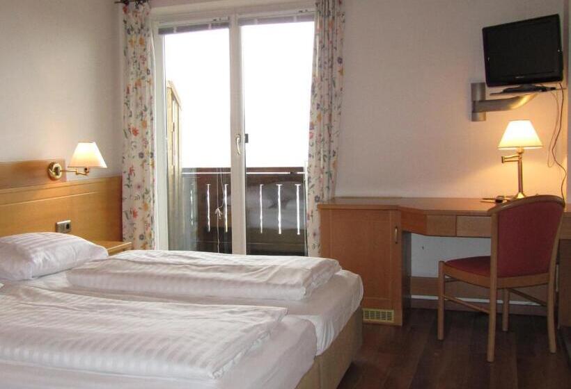 اتاق استاندارد با چشمانداز شهر, Schöne Aussicht