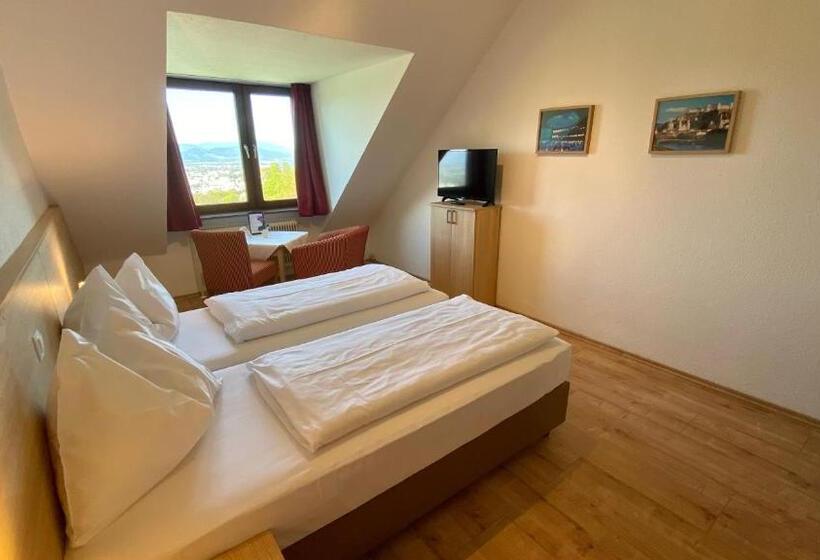 اتاق استاندارد با چشمانداز شهر, Schöne Aussicht