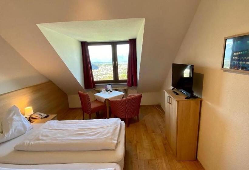 اتاق استاندارد با چشمانداز شهر, Schöne Aussicht