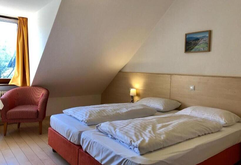 اتاق استاندارد, Schöne Aussicht