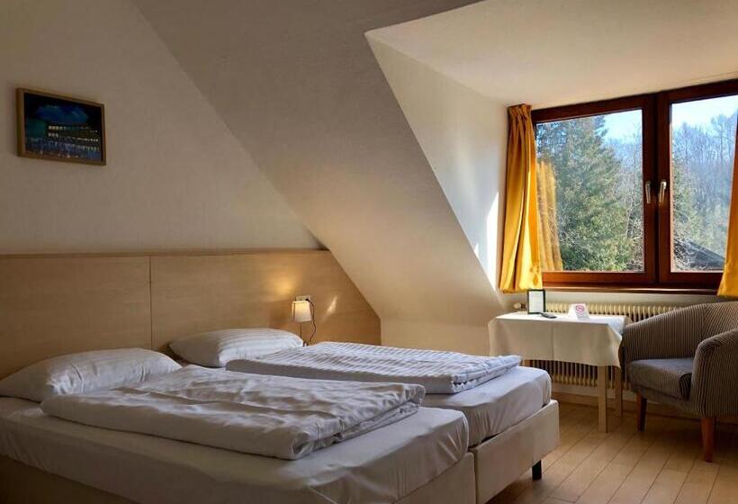 اتاق استاندارد, Schöne Aussicht