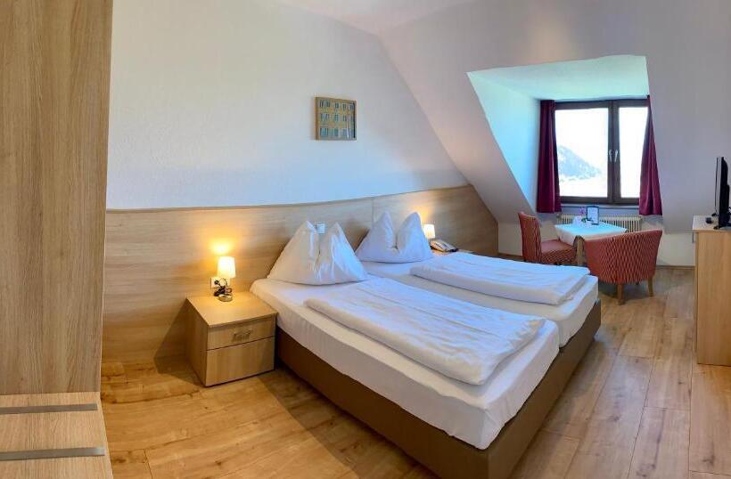 اتاق استاندارد با چشمانداز شهر, Schöne Aussicht