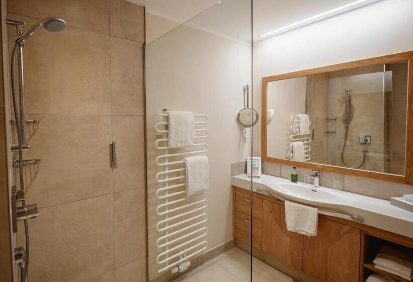 غرفة قياسية مطلّة علي البحيرة, Seevilla Altaussee