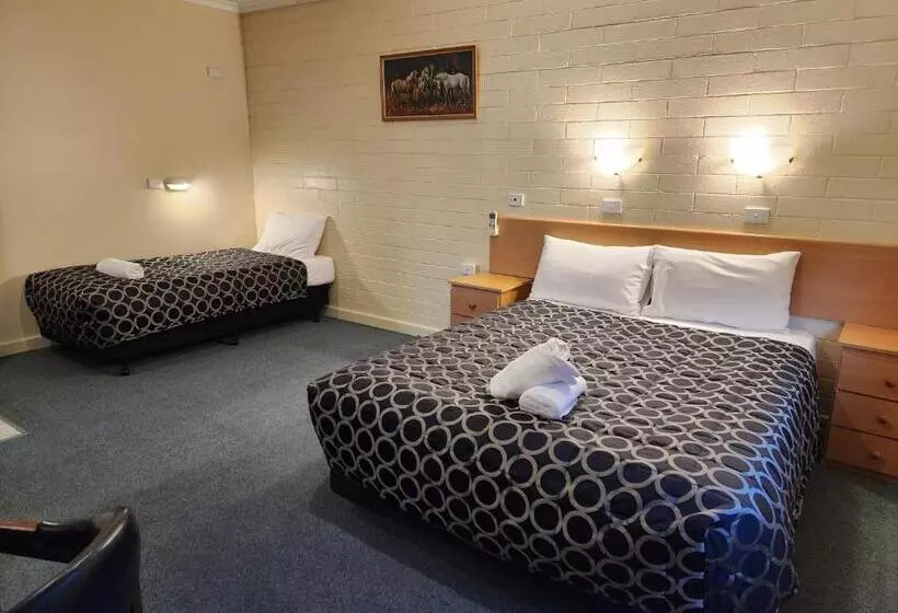 身障者適用スタンダードルーム, Hume Inn Motel Albury Cbd