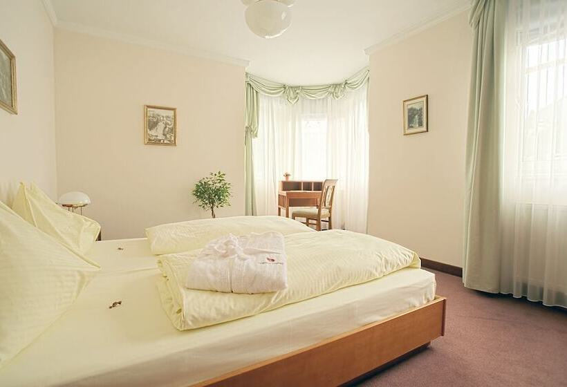 Номер Стандартный с Видом, Sanotel