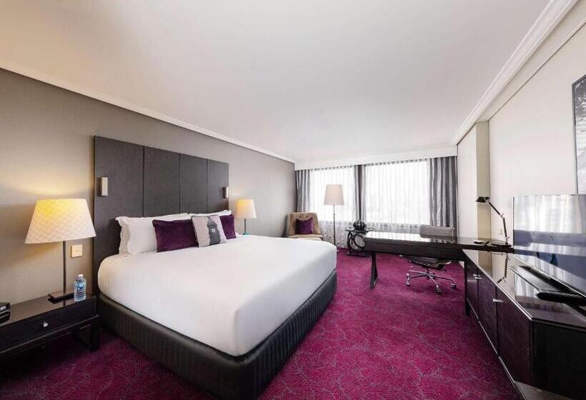 キングサイズベッドのスーペリアルーム, Sofitel Brisbane Central