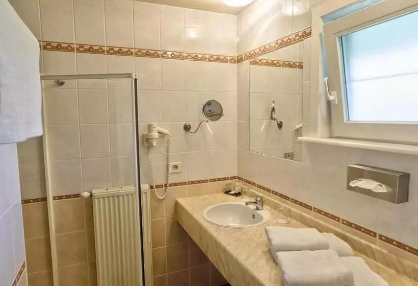 Standard-huone, Auberge Du Vieux Cedre, Enghien Belgique