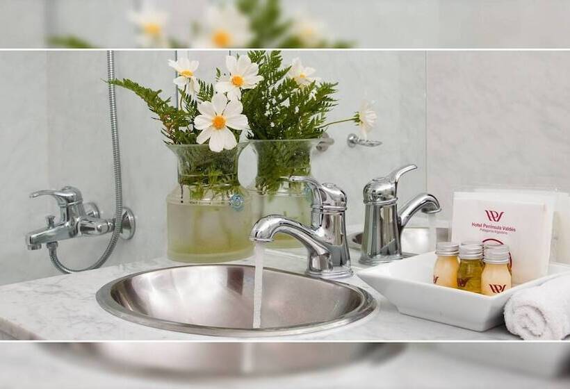 اتاق استاندارد سه نفره, Peninsula Valdes