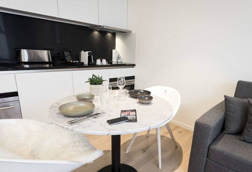 带1个卧室的顶楼公寓, Premier Suites Antwerp