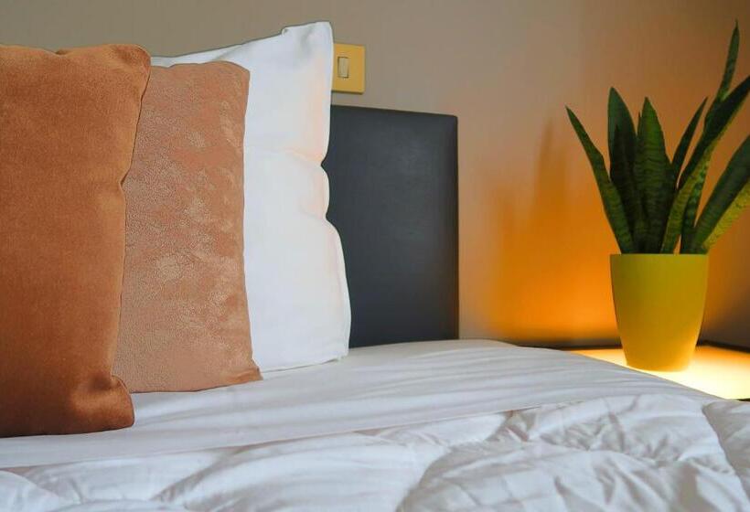 Номер Стандарт, Adoma