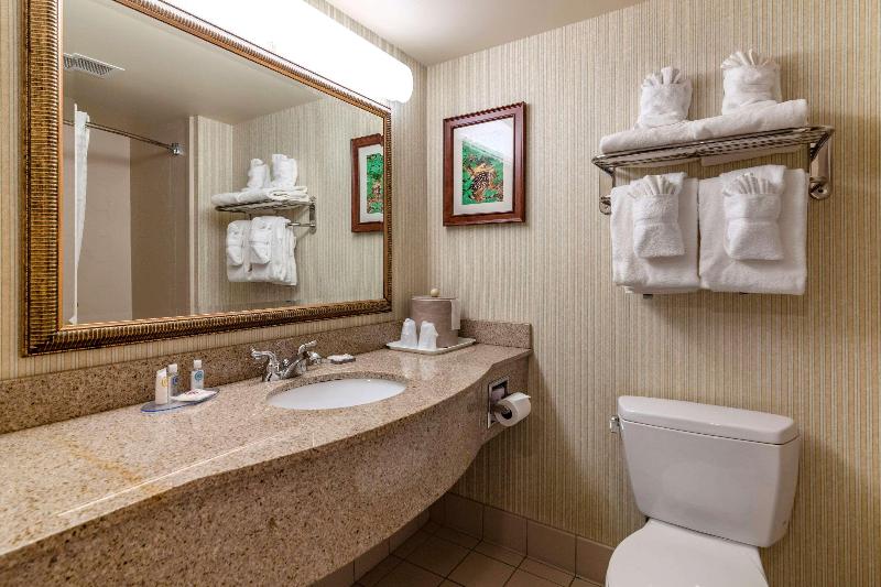 غرفة قياسية مطلّة علي البحر, Arpoador