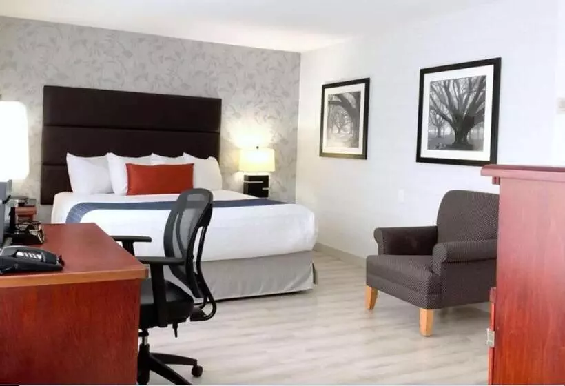 اتاق استاندارد با تخت بزرگ, Best Western Plus Regency Inn And Conference Centre