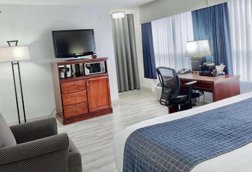 חדר סטנדרט עם מיטת קינג, Best Western Plus Regency Inn And Conference Centre