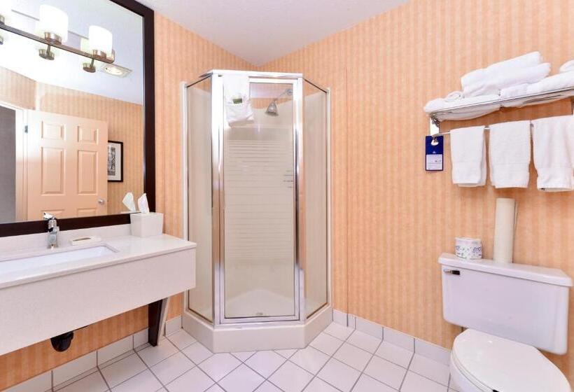 חדר סטנדרט עם מיטת קינג, Best Western Plus Regency Inn And Conference Centre