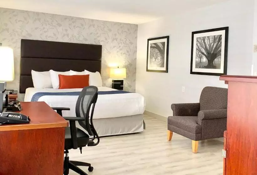 اتاق استاندارد برای معلولان, Best Western Plus Regency Inn And Conference Centre