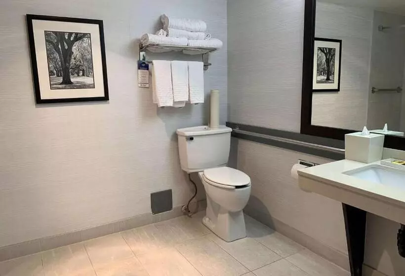 اتاق استاندارد برای معلولان, Best Western Plus Regency Inn And Conference Centre