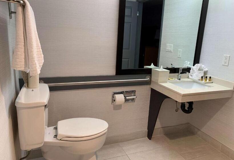 חדר סטנדרט מותאם לאדם עם מוגבלויות, Best Western Plus Regency Inn And Conference Centre