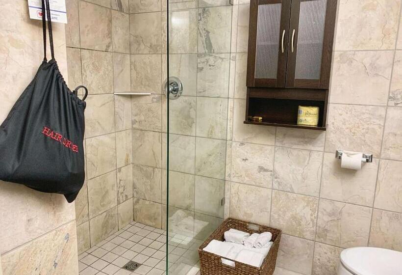 חדר דלוקס, Best Western Plus Regency Inn And Conference Centre