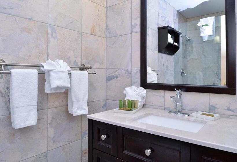 סוויטה נשיאותית, Best Western Plus Regency Inn And Conference Centre