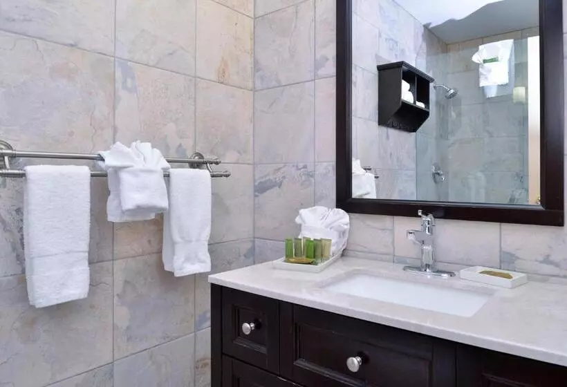 سوئیت پرزیدنت, Best Western Plus Regency Inn And Conference Centre