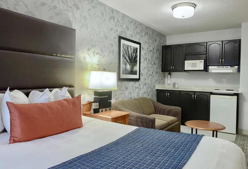 חדר סטנדרט, Best Western Plus Regency Inn And Conference Centre