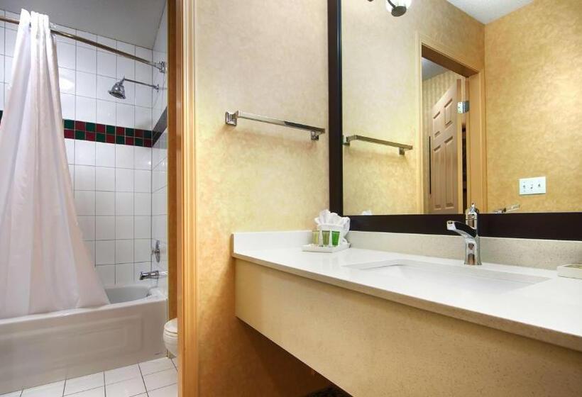 Номер Стандарт, Best Western Plus Regency Inn And Conference Centre