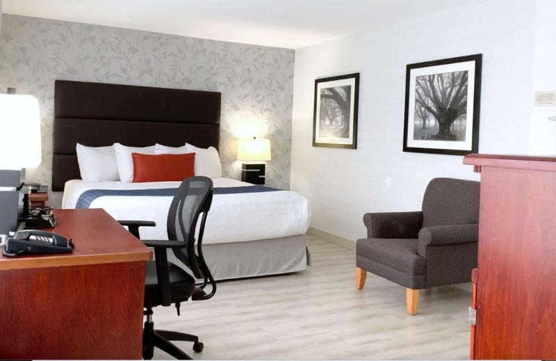 带大床的标准间, Best Western Plus Regency Inn And Conference Centre