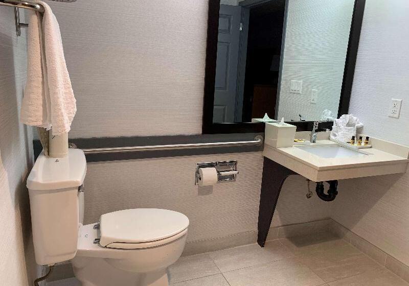 חדר סטנדרט עם מיטת קינג, Best Western Plus Regency Inn And Conference Centre