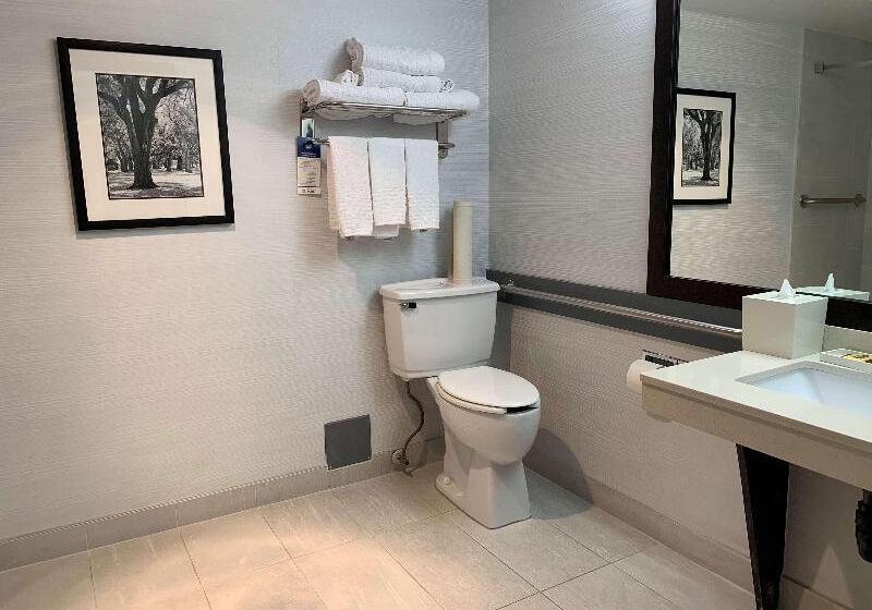 חדר סטנדרט עם מיטת קינג, Best Western Plus Regency Inn And Conference Centre