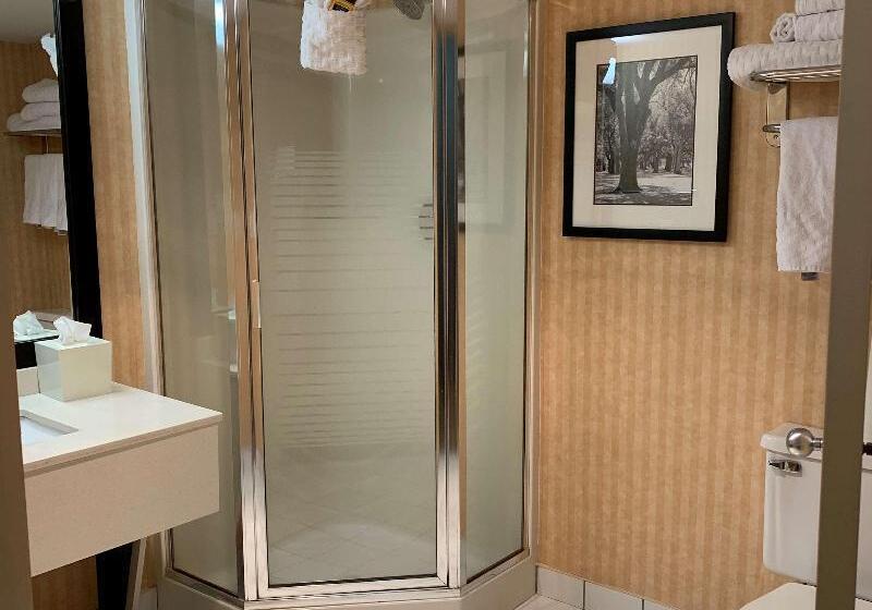 מיטת קינג בסוויטה, Best Western Plus Regency Inn And Conference Centre