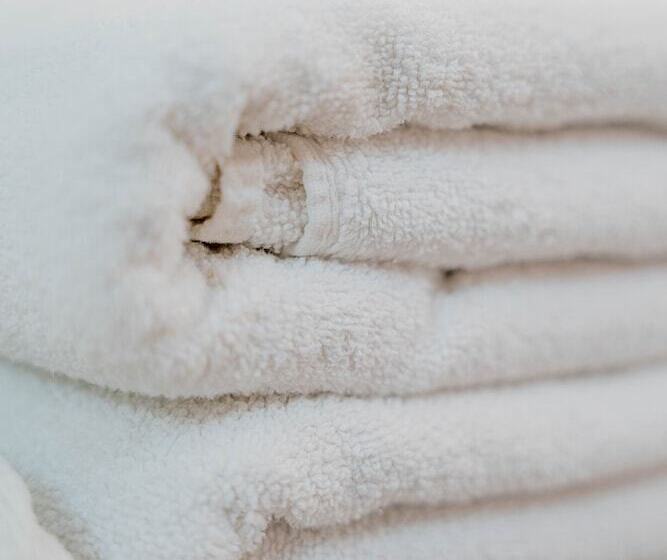 스탠다드 룸, Black Stream