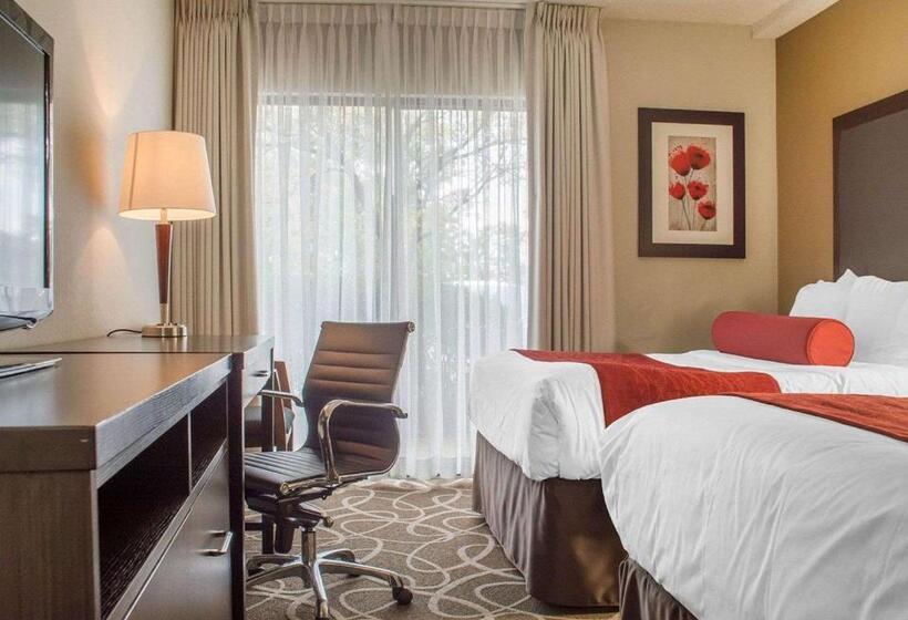 غرفه قياسيه سريرين مزدوجين, Comfort Inn