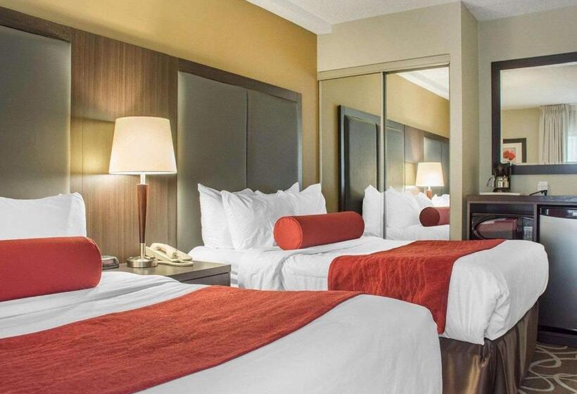 스탠다드 룸 더블 침대 2개, Comfort Inn